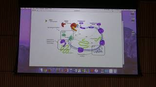 Lecture 53 Aherns BB 451  Nitrogen Metabolism I [upl. by Akins]