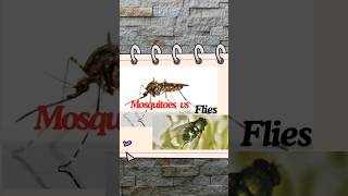 Mosquitoes vs FliesFACTS facts mosquito flies insects short [upl. by Sacha]