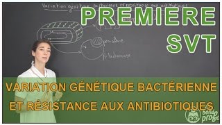 Variation génétique bactérienne et résistance aux antibiotiques  SVT  1ère  Les Bons Profs [upl. by Navonoj]