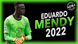 Edouard Mendy 20212022  Crazy Saves  HD [upl. by Acilejna465]