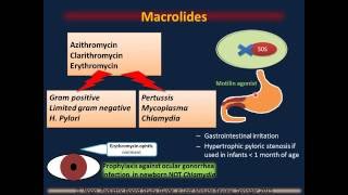 Antibiotics quotPediatric Infectious Diseases Iquot [upl. by Trebo569]