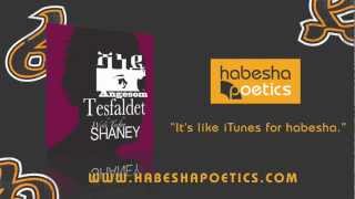 Eritrea  Angesom Tesfaldet  Shaney  Official Audio  New Eritrean Music 2014 [upl. by Sillyhp]