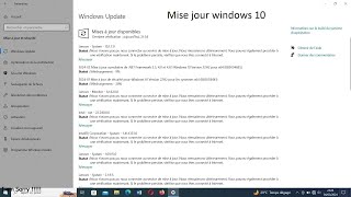 Comment mettre à jour Windows 1011 de façon professionnelle [upl. by Novahc]