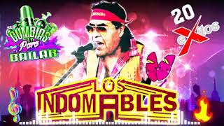 Los Indomables  Cumbias y Mas Cumbias Pa Bailar Album Completo 20 Grandes Exitos [upl. by Gonroff]