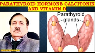 Functions of Parathyroid Hormone Calcitonin and vitamin D3 in human body Lectures by Dr Alamzeb [upl. by Fernand]