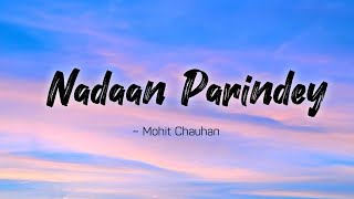 Nadaan Parindey lyrics  Rockstar  Mohit Chauhan  LYRICS🖤 [upl. by Tirrej]