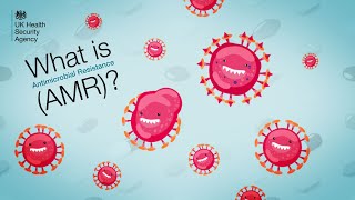 Antimicrobial resistance AMR  What does it mean and why it matters [upl. by Akeylah6]