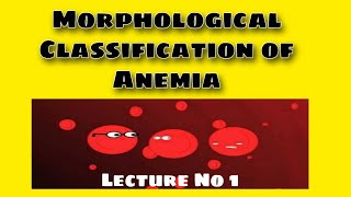 Morphological Classification of Anemia [upl. by Burrows893]