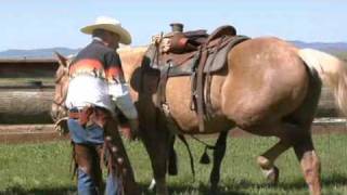 How to Western Saddle a Horse [upl. by Bloem]