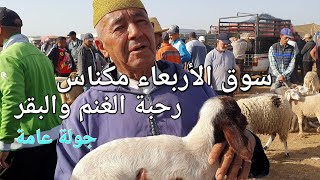 أثمنة الغنم والماعز والعجول سوق الأربعاء مكناس اليوم 10072024 [upl. by Adnarem]