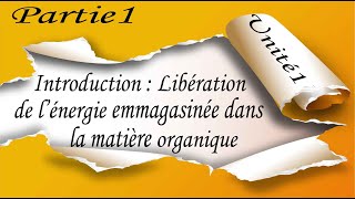 1 Introduction  Libération de l’énergie emmagasinée dans la matière organique ATP [upl. by Strickler]