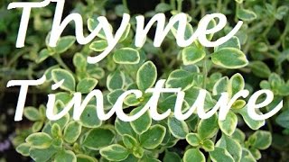 HOW TO Make Cough Medicine THYME TINCTURE [upl. by Nnylyar]