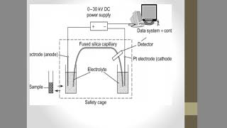 Electro osmotic flow [upl. by Comfort]