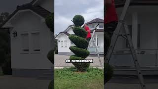 Le Meilleur Métier au Monde 🌲 [upl. by Akimahc]