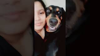 Doberman Dodo Mom and Titur sweet selfie moments dobberman trending viralshorts [upl. by Rupert]