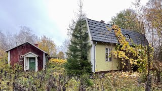 Completely Untouched Abandoned Tiny House in the Swedish Countryside [upl. by Maroney]