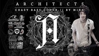 Architects  Naysayer Crazy Bass Cover [upl. by Amikat]