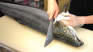 How To Fillet a Whole Salmon  Sashimi amp Sushi Taiwanese street food [upl. by Oynotna644]