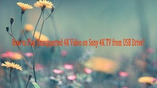 How to Play 4K Video on Sony 4K TV from USB Drive [upl. by Eggleston]