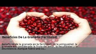 Novedades Fertilidad en Espana Granada Abril [upl. by Ahseyk]