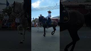 Beautiful elegant horse rider in Cabalgata tope palmares [upl. by Lustick]