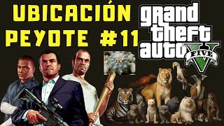 Ubicaciones de Peyote en GTA V 11 Modo Historia [upl. by Rosenzweig]