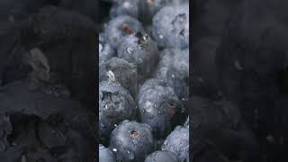 That is why Blueberries improves your BRAIN POWER [upl. by Weinreb]