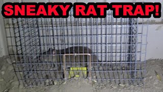 Sneaky Rat Trap For Sneaky Rats [upl. by Nrek]