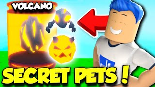 Hatching TONS OF SECRET PETS In Tapping Simulator Update New VOLCANO EGG Roblox [upl. by Bobbe]