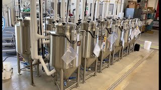 Brewing Beer  Basic Processing Steps How is beer made beerbrewing craftbeer [upl. by Jacques188]