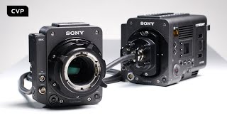 Why Hollywood Uses This Camera System [upl. by Mosenthal]