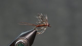 Pheasant Tail Soft Hackle [upl. by Lardner]