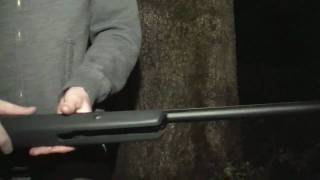 Gamo Shadow Express Overview and Shooting Test [upl. by Ahsitniuq]