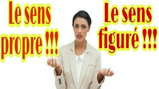 Quelle est la différence entre le sens propre et le sens figuré  Monfrançaissimplifié [upl. by Ahgiela531]