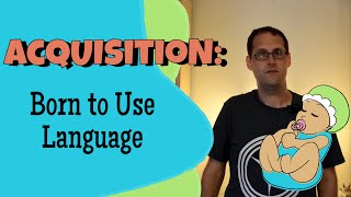 Language Acquisition and Universal Grammar [upl. by Garlinda247]