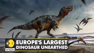 A dinosaur that lived 125 million years ago Europes largest dinosaur unearthed  English News [upl. by Niccolo]