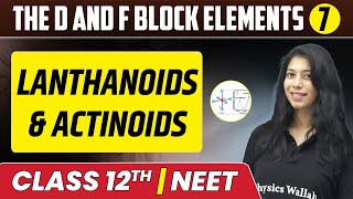 The d and f Block Elements 07  Lanthanoids amp Actinoids  Class 12thNEET [upl. by Naegem716]