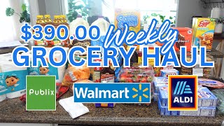 390 GROCERY HAUL  WALMART HAUL  PUBLIX HAUL  ALDI HAUL  FAMILY OF FIVE GROCERY HAUL [upl. by Ademla831]