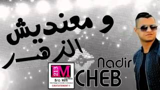 Cheb Nadir Kol Wahed Rah Fi Jiha قنبلة الشاب نذير 2016 pirat polo YouTube [upl. by Eveam668]