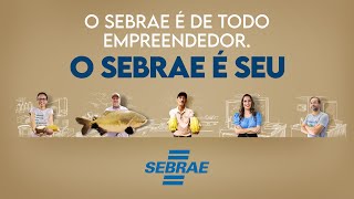 O Sebrae é Seu [upl. by Nilad522]