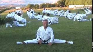 Taekwondo ITF Master Vasilis Alexandris Stretching Exercises [upl. by Lasorella]