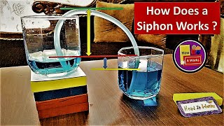 How Does a Siphon really Work 🤔  Step by step Explanation [upl. by Phillada]