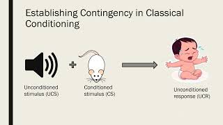 Contiguity and Contingency in Classical and Operant Conditioning [upl. by Wald]