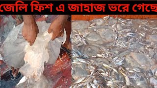 জেলি ফিস এর কারণে মাছ পেলাম নাSeaMans seaman hilsha Season06Ep20 [upl. by Aicnilav610]