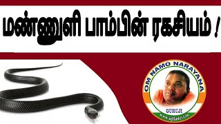 மண்ணுளி பாம்பின் ரகசியம்   ujiladevi tamil [upl. by Mila]