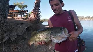 Fishing At Almaden Lake 16 [upl. by Alrad]