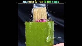 aloe vera के गजब के life Hacks  Amazing life hacks of aloe vera shortvideo trending lifehacks [upl. by Frankhouse]