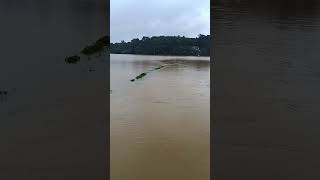 Wayanad Flood [upl. by Nalla]