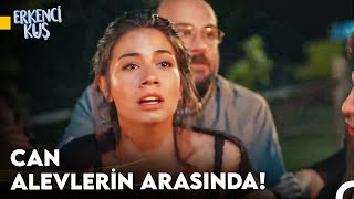 Erkenci Kuş Yeniden 2 Sezon Part 4 ❤ [upl. by Rebma]