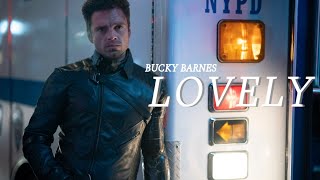 BUCKY BARNES  LOVELY [upl. by Cookie]